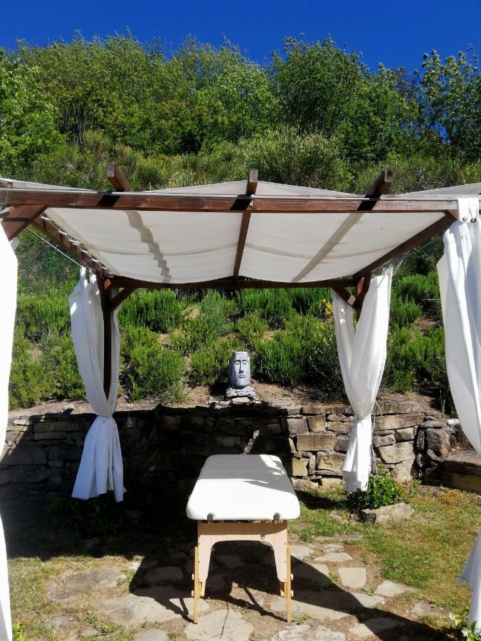 Le Ginestre Guesthouse Assisi Ngoại thất bức ảnh