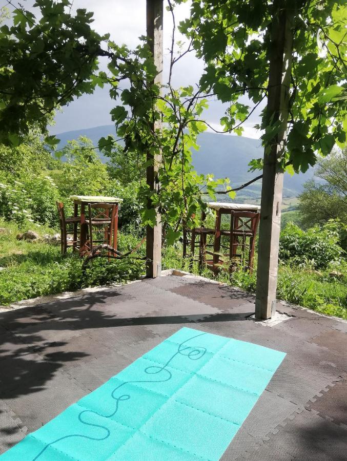 Le Ginestre Guesthouse Assisi Ngoại thất bức ảnh