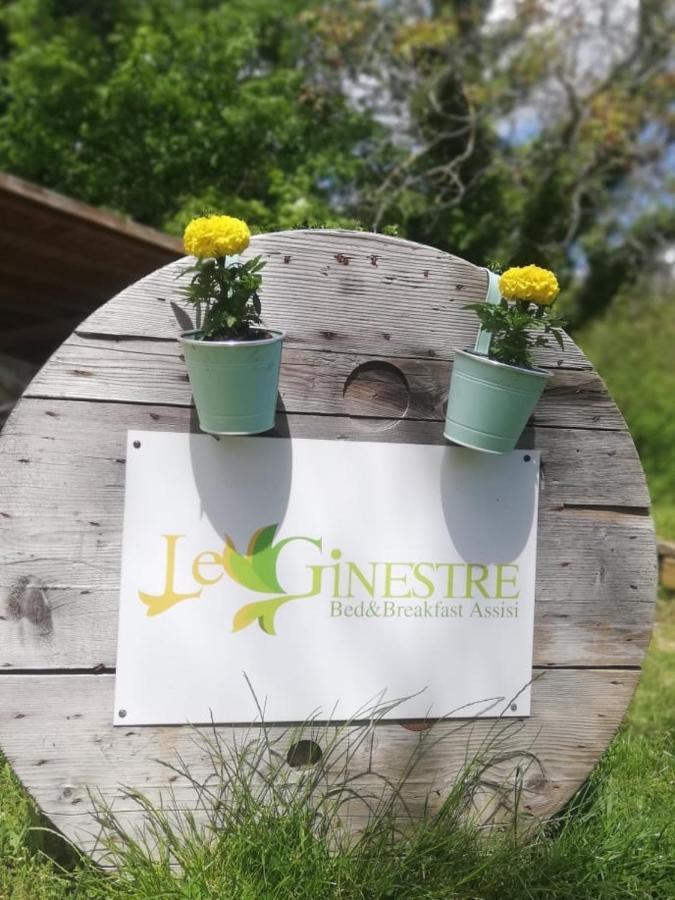 Le Ginestre Guesthouse Assisi Ngoại thất bức ảnh