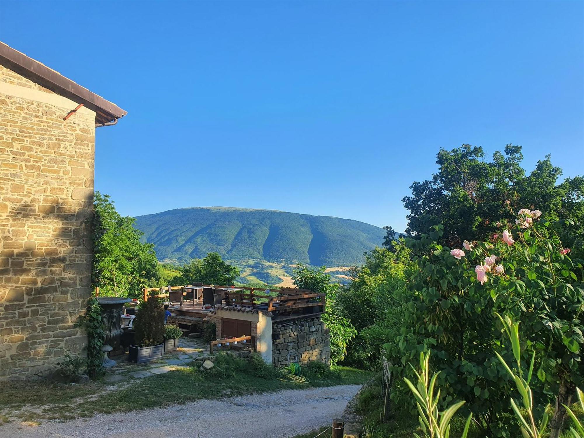 Le Ginestre Guesthouse Assisi Ngoại thất bức ảnh